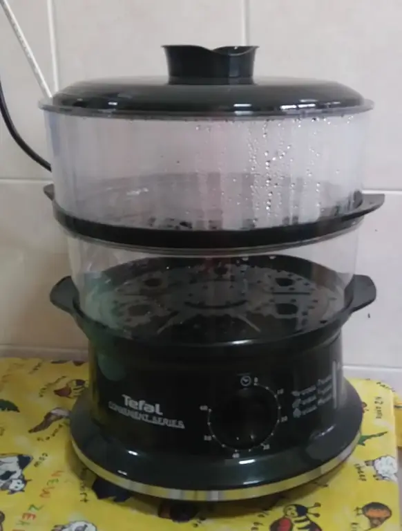 Tefal de vapor