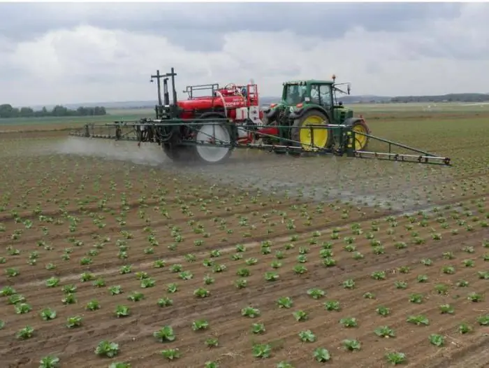 alimentação foliar de mudas