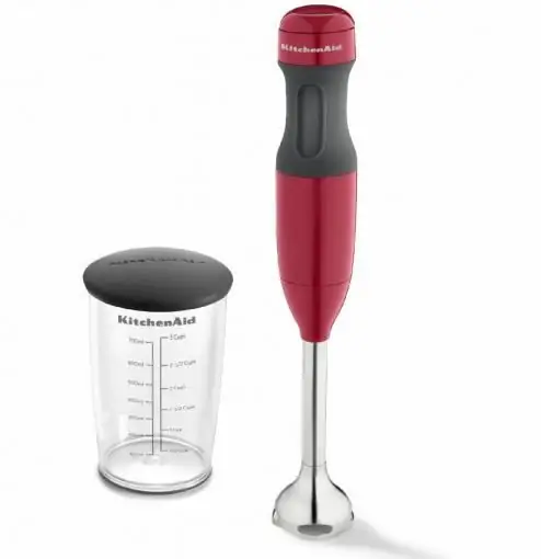 how to choose an immersion blender for home