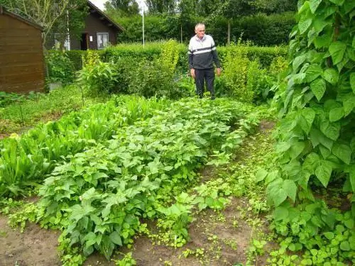 tønde med organomineral gødning