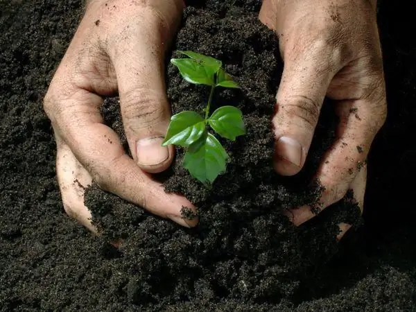 produksie van organo-minerale kunsmisstowwe