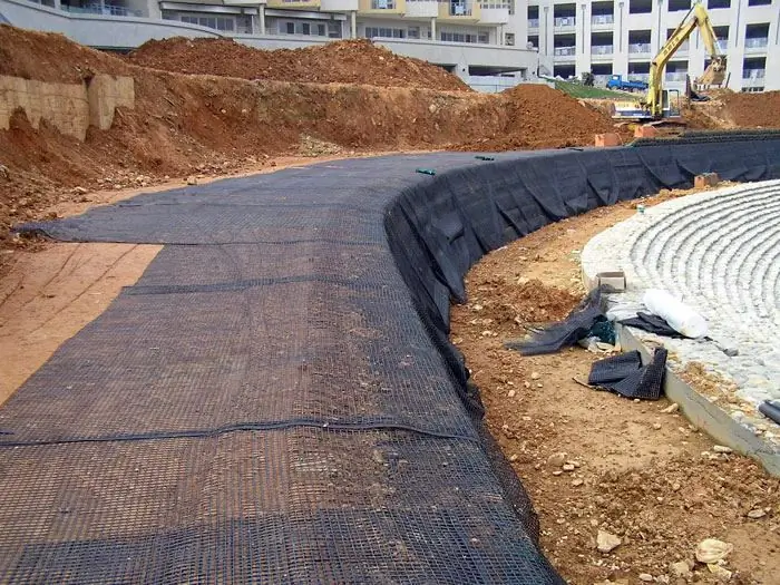 Geogrid reinforcement