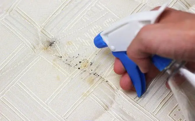 bedbugs cəllad üçün dərmanı haradan ala bilərəm