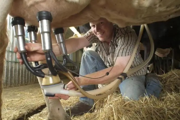 máquinas de ordenha domésticas para vacas