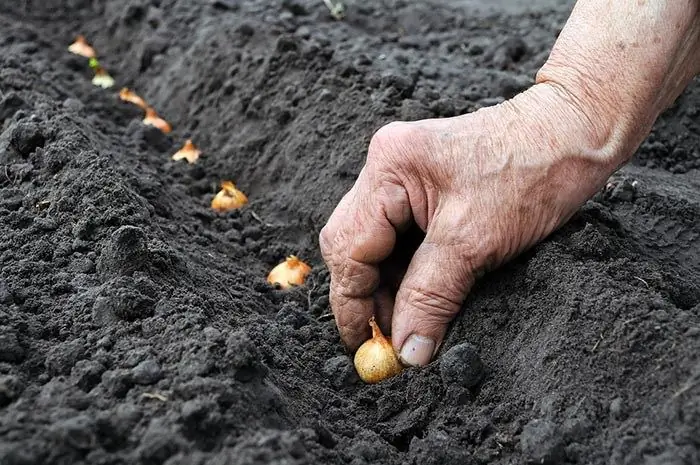 Atterraggio nel terreno