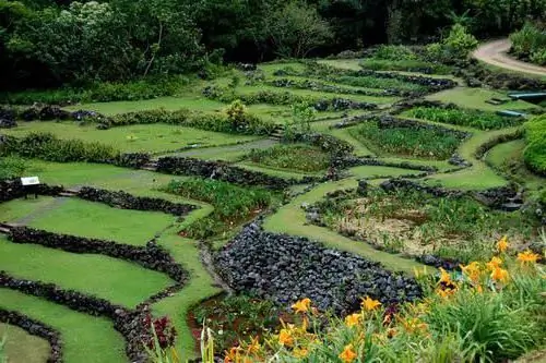 วิธีการทำ terracing