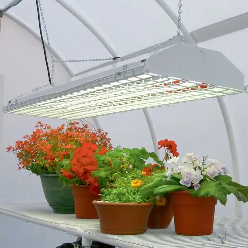 LED plant lighting