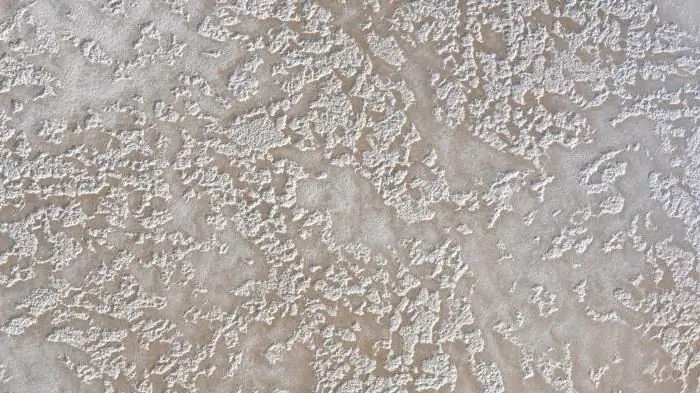 relief decorative plaster