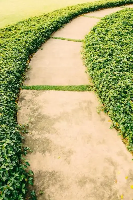 DIY garden paths