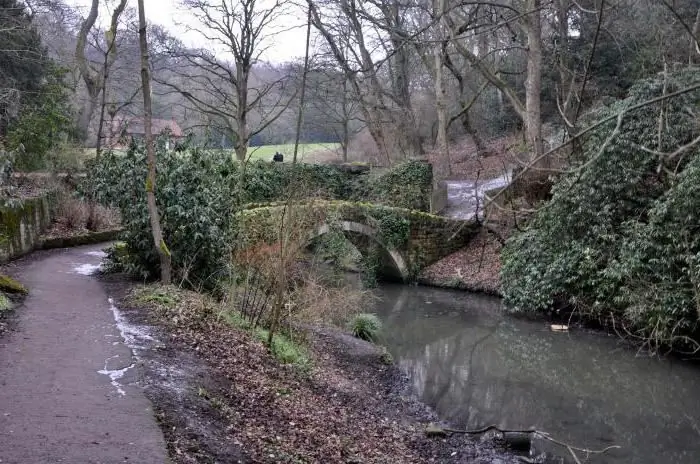 camins de jardí de fer-ho tu mateix a partir de talls de serra de fusta