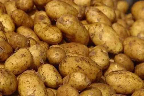 potato diseases and their control