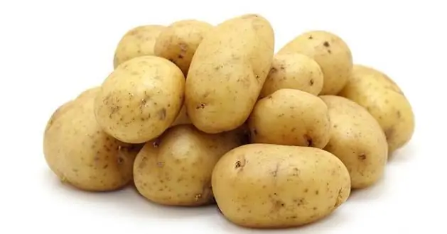 potato diseases and pests