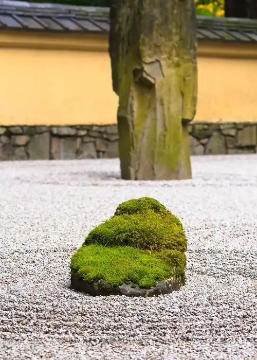 decorative moss for the garden