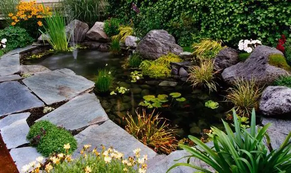 decorative pond